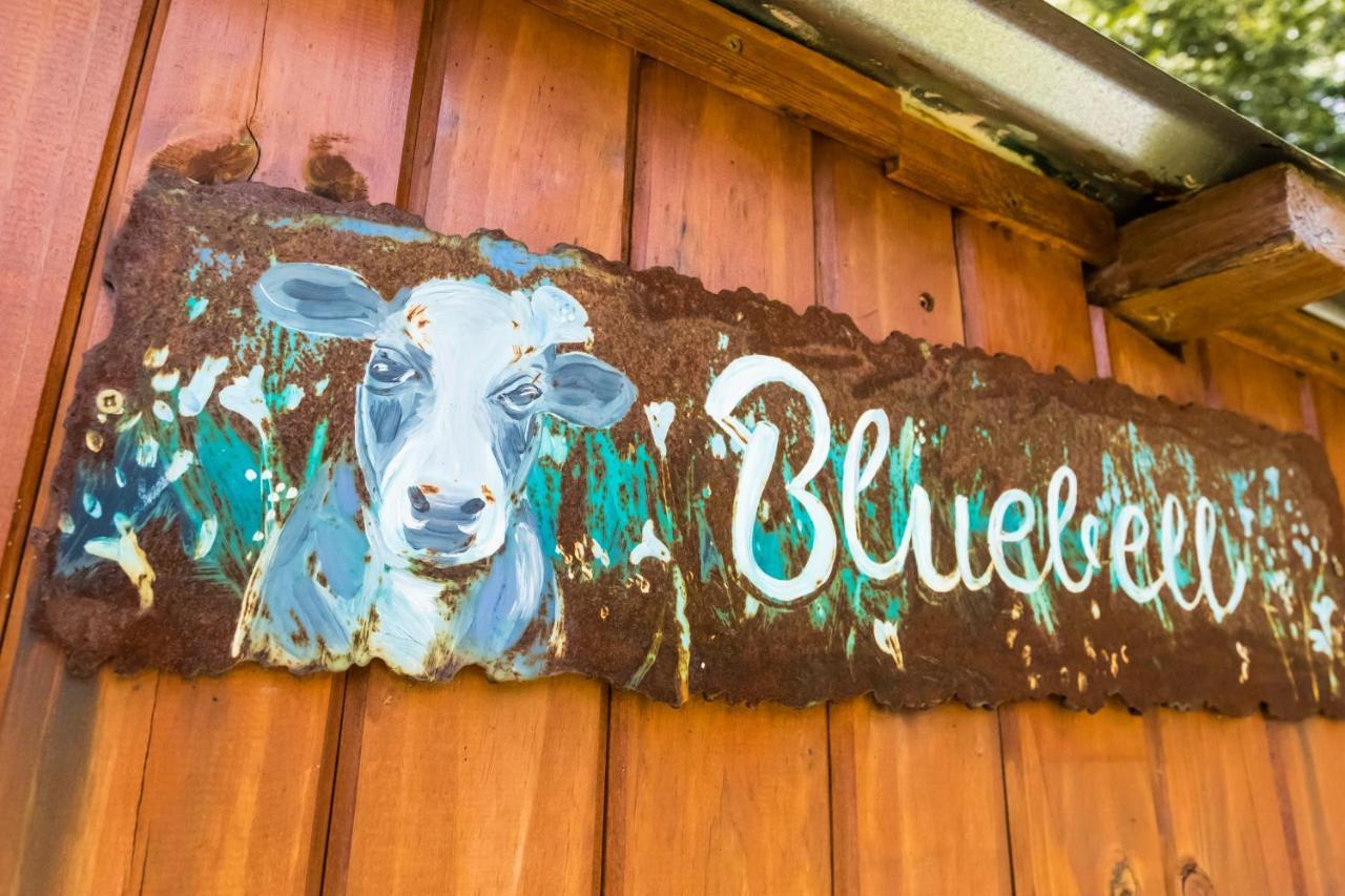 Peace Corner Cottages Dullstroom Extérieur photo